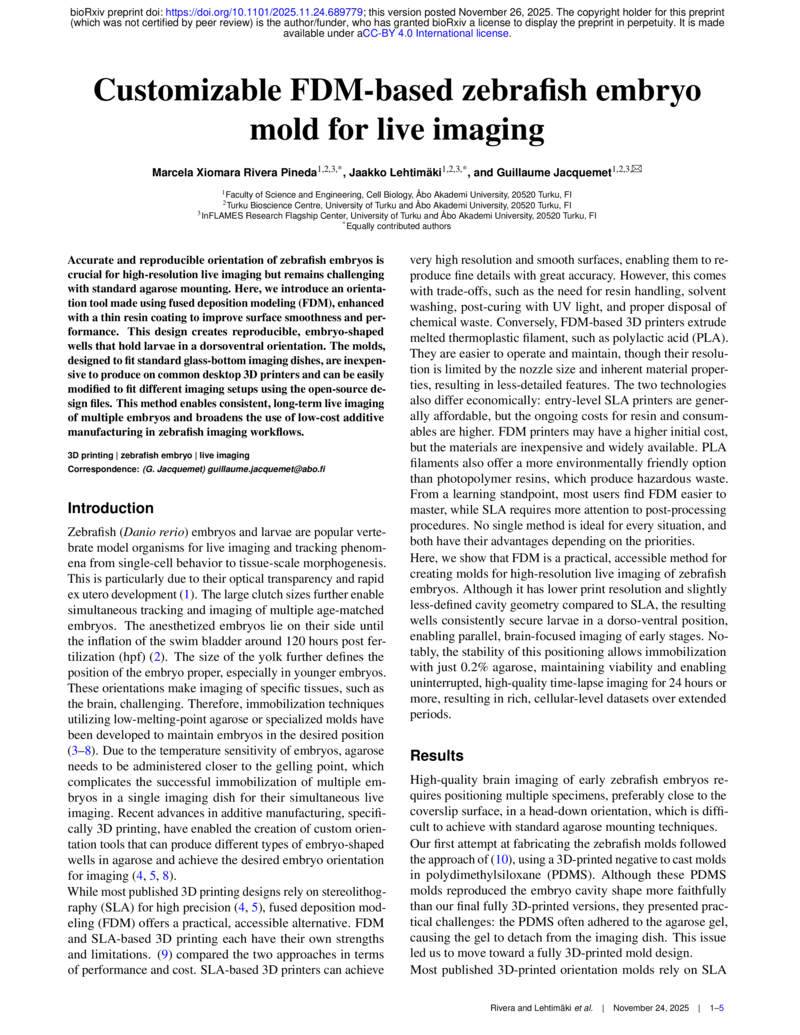 Zebrafish Embryo Mold